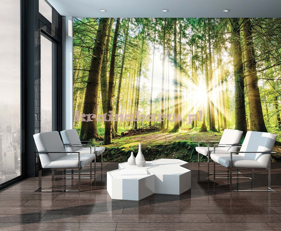 Fototapeta 10143 Słoneczny Las