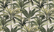 Oryginalna tapeta liście palmy