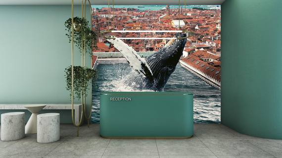 Fototapeta Czysta magia - Zehem Chong