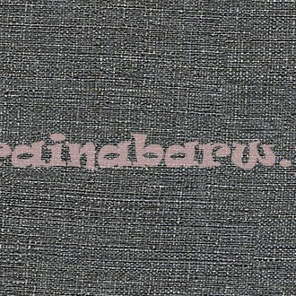 tapeta VP730 08 Textures Vegetales Abaca