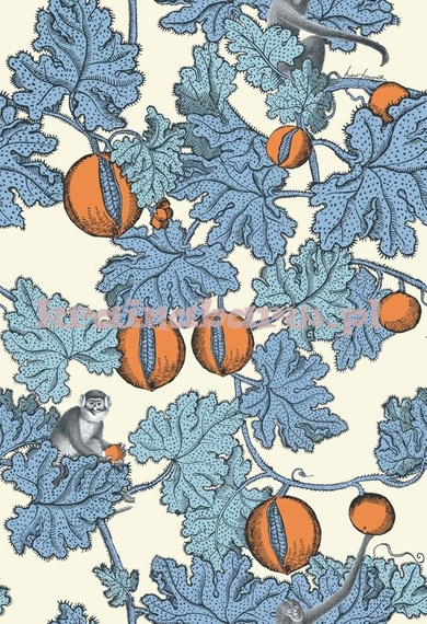 Tapeta 114/1003  Fornasetti Cole & Son