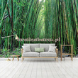 Fototapeta 12632 Bambusowa Ścieżka