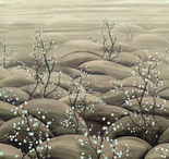 Mural Masureel Sakura DGTRA5011- 5013 kwitnąca sakura