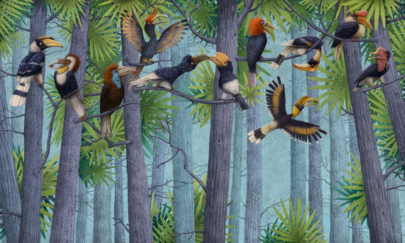 Mural Drzewa i kolorowe ptaki Hornbill 2 