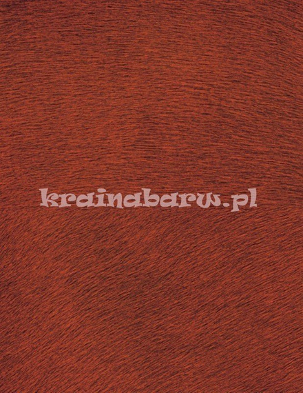 tapeta VP625 14 Natives