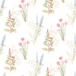 Tapeta Galerie AF42445 polne rośliny