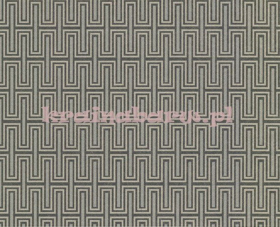 Tapeta DV53073 Fifties