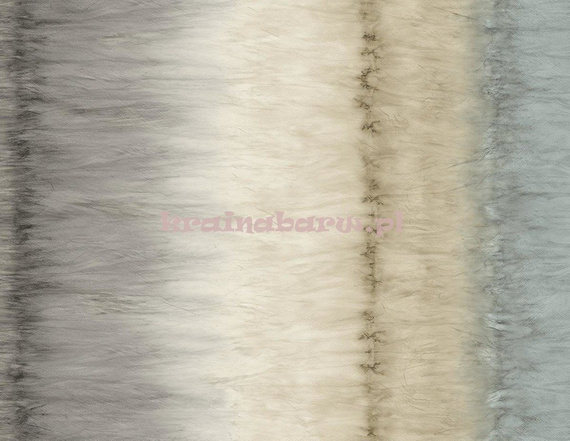 Tapeta CR41000 Ed.12