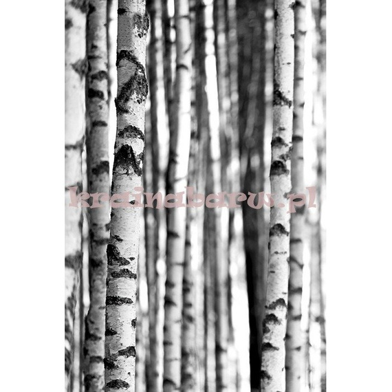 Panel SG42400M Sage II