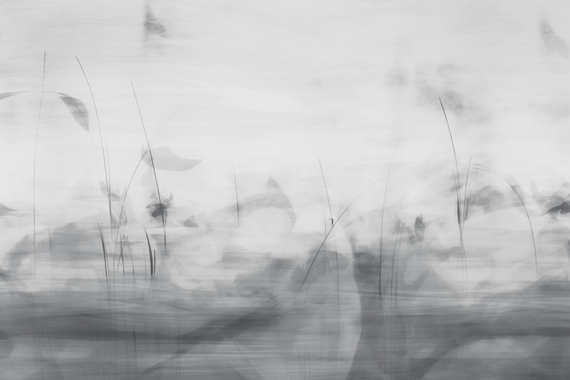 Tapeta Artystyczna Serenite Vent du matin SV100