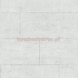 Tapeta G56393 Global Fusion