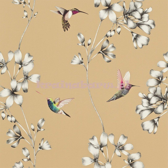 Tapeta 111063 Amazilia