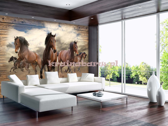 Fototapeta 10083 GNIADE KONIE