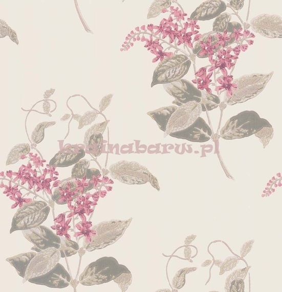 Tapeta 100/12058 Madras Violet