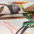 Tapeta Fototapeta  26993 Tropical mural Birds Paradise 