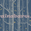 Tapeta 103/11052 Whimsical