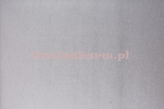 Tapeta srebrzysto szare metaliczne jednobarwne tło 