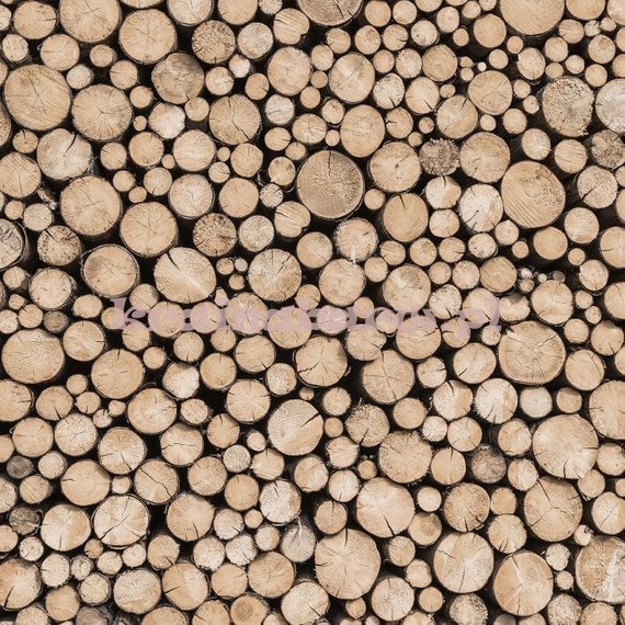 Panel G45275 Logs Global Fusion