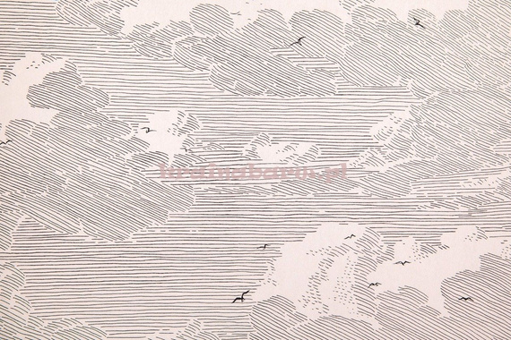 Tapeta 366061 Geonature