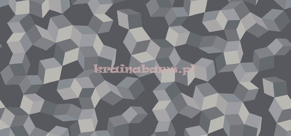 Tapeta 105/2011 GEOMETRIC II