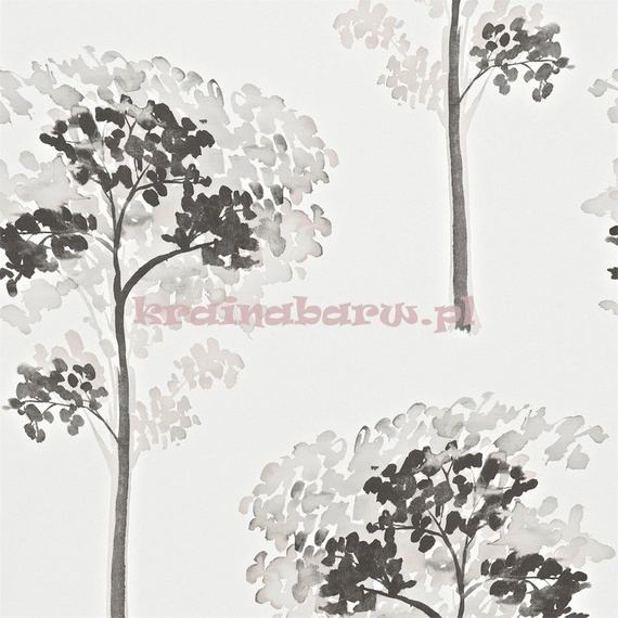 Tapeta 110890 Momentum