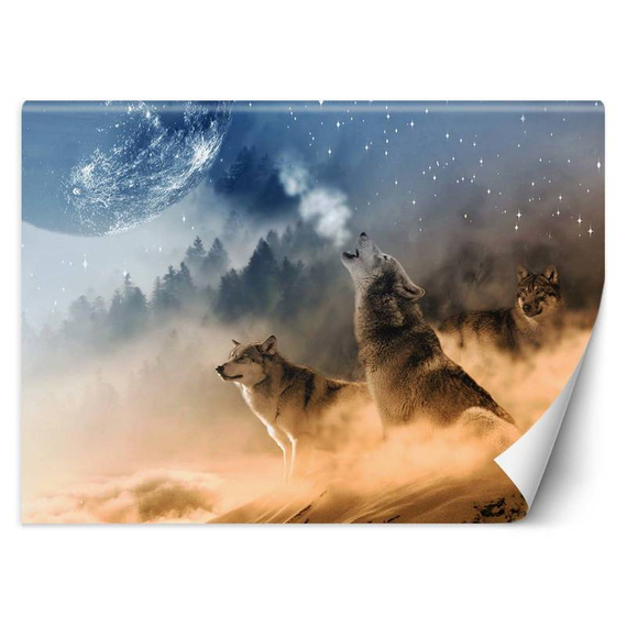 Fototapeta Wyjące Wilki