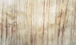 Fototapeta Mori 