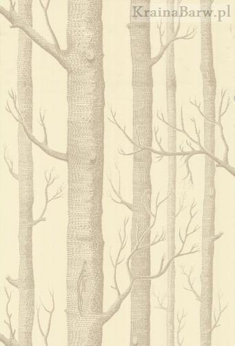 Tapeta 69/12148 Woods