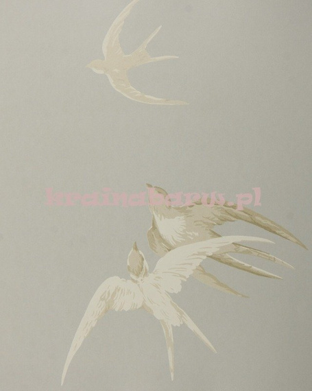 Tapeta DVIWSW104 Vintage