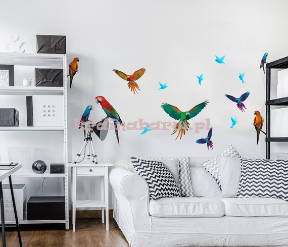 Naklejki na ścianę PAPUGI SPN411WD
