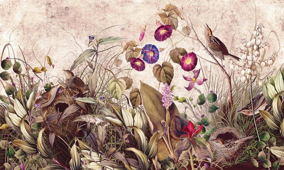 Tapeta Artystyczna Bird song