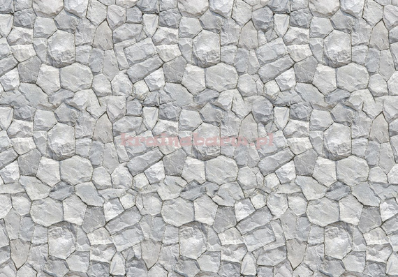 Fototapeta 12580 Ściana III