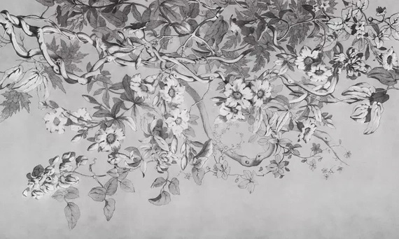 Fototapeta Wallart Alamanda