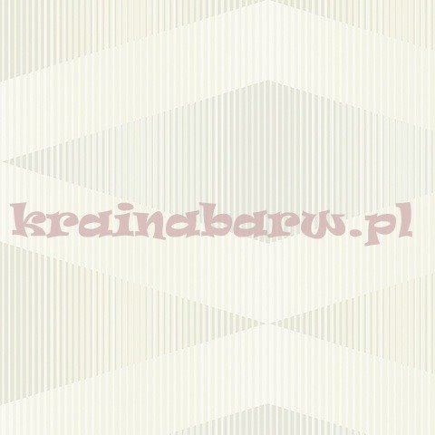 Tapeta ZN51103 Tokyo 0.19