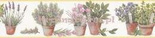 Border z klejem KV79457 Fresh Kitchens 5
