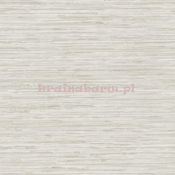 Tapeta z klejem TX 34800 Texture Style