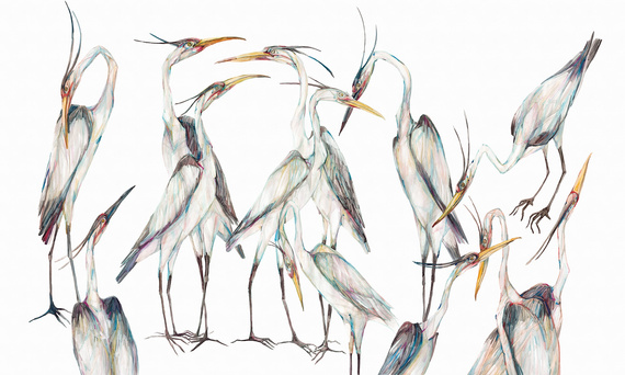 Fototapeta artystyczna Jawa 2 bambusowe drzewka