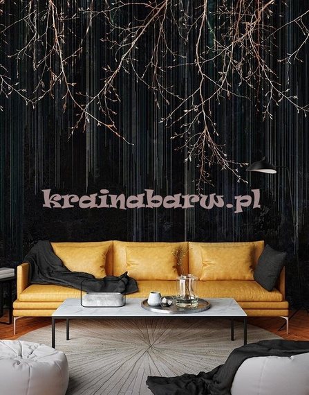 Fototapeta Leśna impresja czarna Diadema I