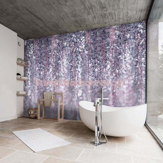 Fototapeta 13520 Wisteria II