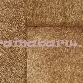 Tapeta VP 618 09 ELITIS INDOMPTEE