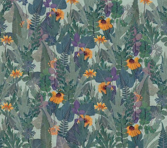 Tapeta Mural Herbarium Flowers HED27291 kwiaty