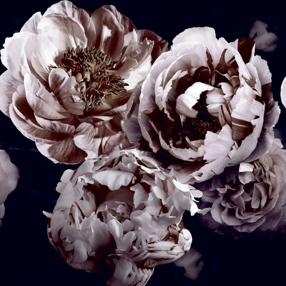 Tapeta Mural 26778 Rose Dusty Lilac