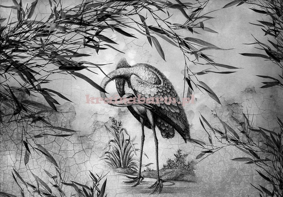 Fototapeta 13695 Czarno biały żuraw