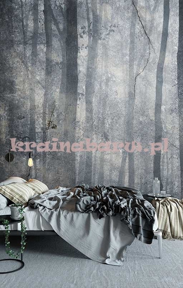 Fototapeta Drzewa w tajemniczym lesie Shadow 1