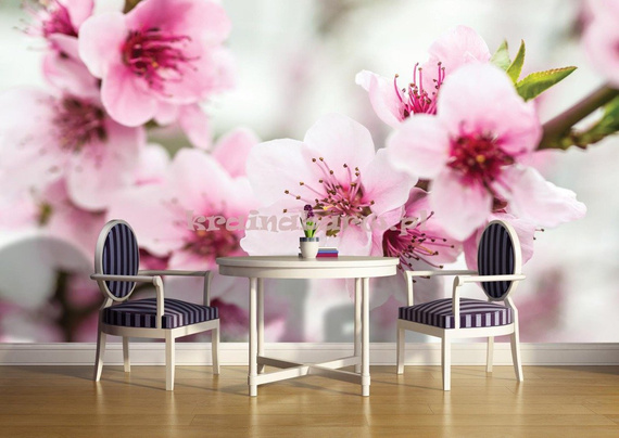 Fototapeta 1168P8 Kwiat jabłoni