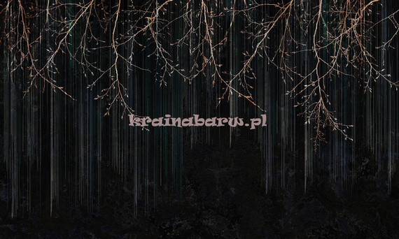 Fototapeta Leśna impresja czarna Diadema I