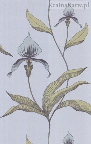 Tapeta 66/4026 Orchid