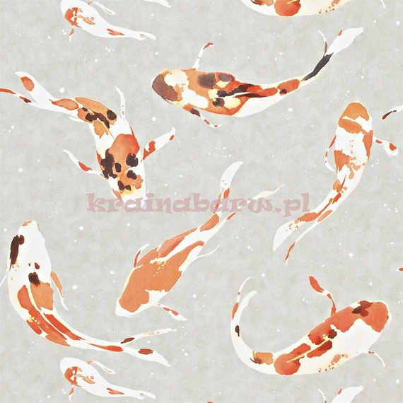 Tapeta 110903 Momentum