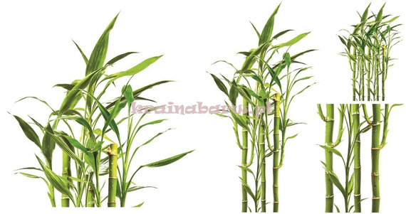 Naklejki na ścianę BAMBUSY SNC405TD