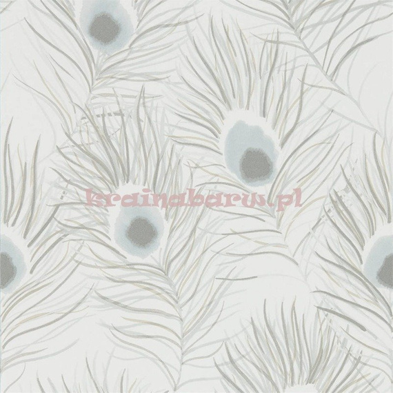 Tapeta  	111877  PALOMA ORLENA HARLEQUIN